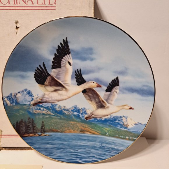 Winter Wings :Snow Geese Darrell Bush Bradford Exchange Plate Certificate 1990 - Picture 4 of 9